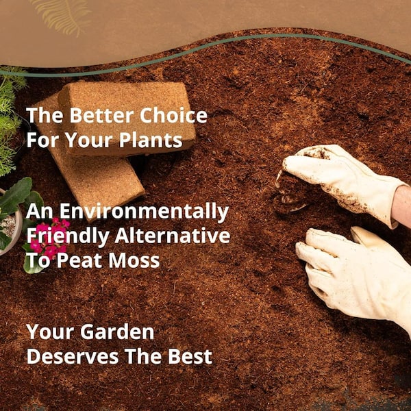 Primehome Organic Coco Coir 650gm Bricks (5-Pack) - for Plants