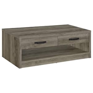 Felix 47.25 in. Gray Driftwood 2-Drawer Rectangle Engineered Wood Coffee Table