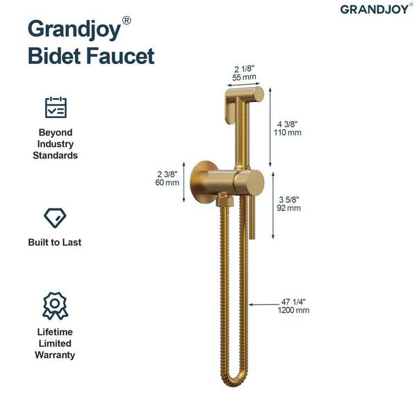 GRANDJOY 1-Handle Hot and Cold Bidet Faucet Solid Brass Body