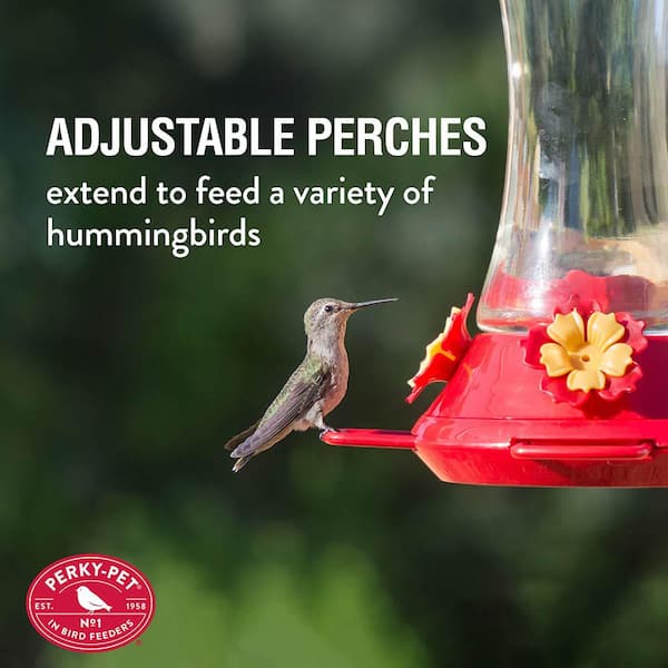  Hat Hummingbird Feeder, 2023 New Handheld Hummingbird