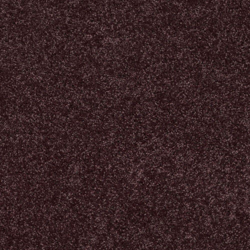 Grape カーペット TrafficMaster Palmdale I - Grape Koolaid - Purple 17.6 oz