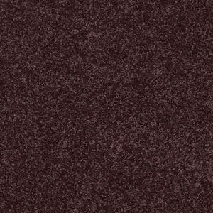 Palmdale I - Grape Koolaid - Purple 17.6 oz. Polyester Texture Installed Carpet