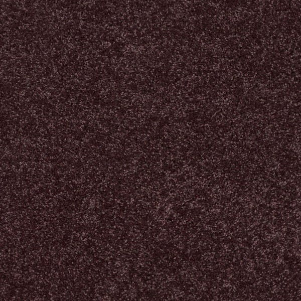 TrafficMaster Palmdale I - Grape Koolaid - Purple 17.6 oz. Polyester Texture Installed Carpet