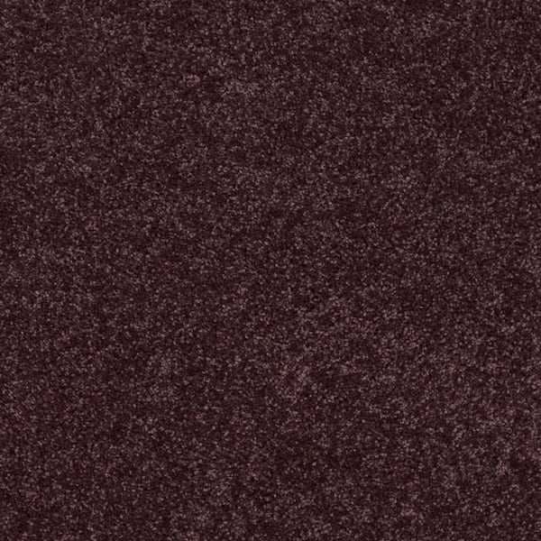 Palmdale II - Grape Koolaid - Purple 15 ft. 31.2 oz. Polyester Texture Installed Carpet