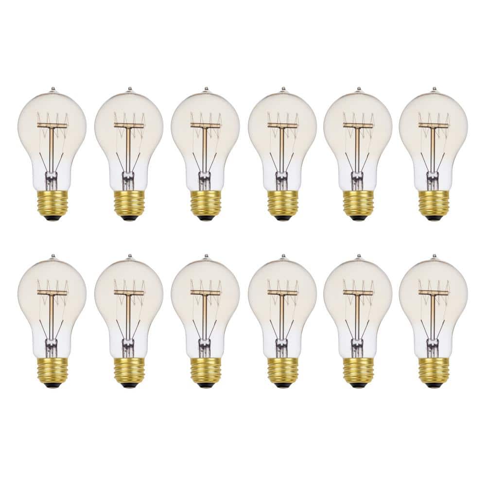 60 Watt A19 Dimmable Cage Filament Vintage Edison Incandescent Light Bulb, 