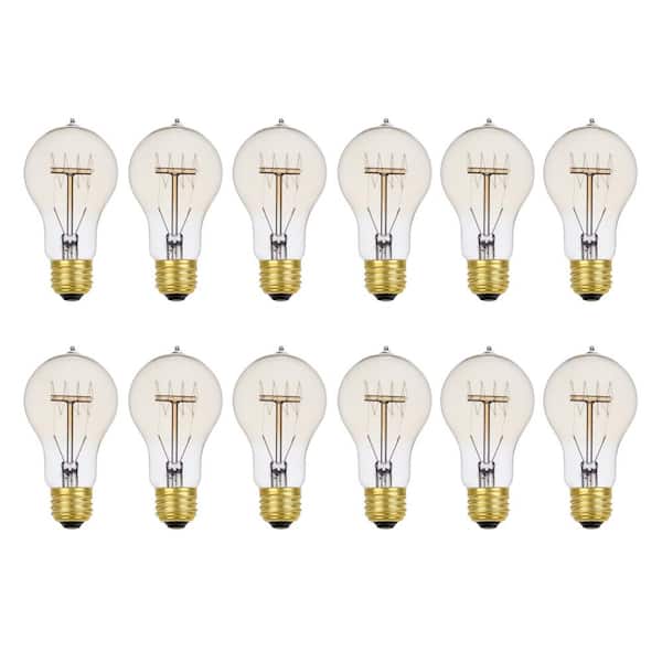 Globe Electric 60 Watt A19 Dimmable Cage Filament Vintage Edison Incandescent Light Bulb, Warm Candle Light (12-Pack)