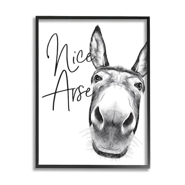 Stupell Industries "Animal Humor Nice Arse Donkey Bathroom Phrase" by Lettered and Lined Framed Animal Wall Art Print 11 in. x 14 in.