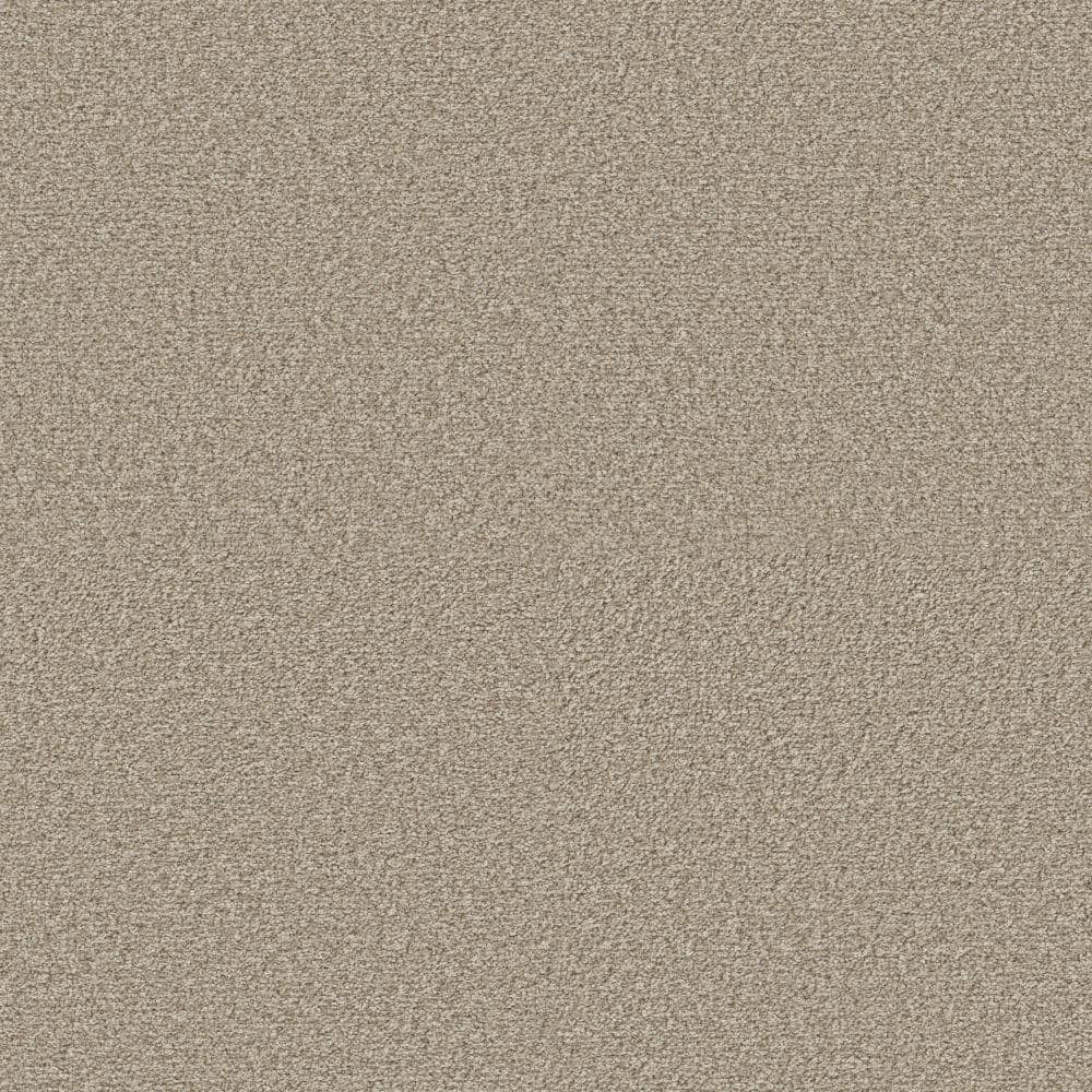 8 in. x 8 in. Texture Carpet Sample - Enchanted -Color Warm Breeze price history on PriceWatchPro