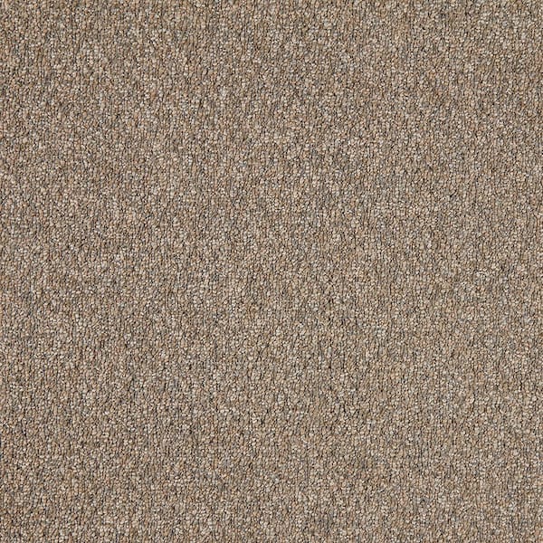 TrafficMaster 8 in. x 8 in. Pattern Loop Carpet Sample - Lanwick