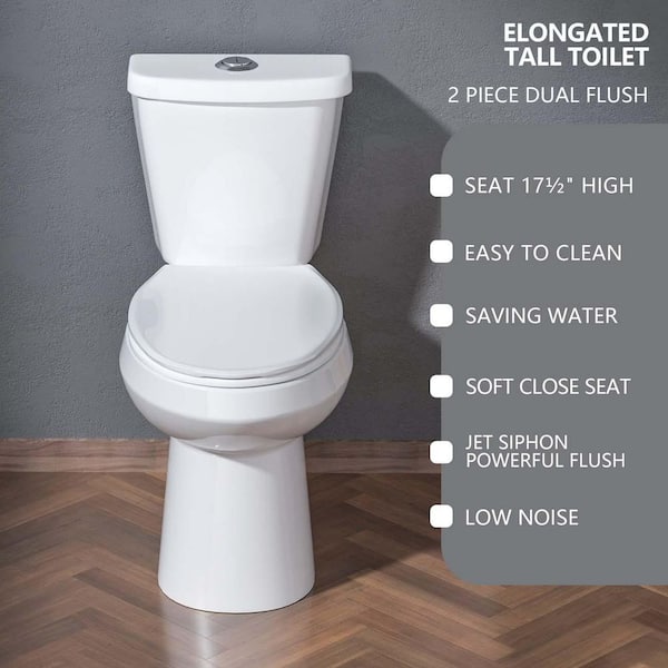 12 in. 2-Piece 1.1/1.6 GPF Water-Efficient Dual Flush Elongated Toilet in Glossy White Soft Closing Seat Included
