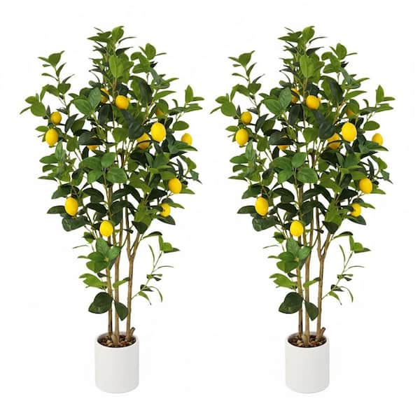 LEMONTREE 3点 AVENUE: Watermelon Z x Lemon Tree Smalls | Trulieve