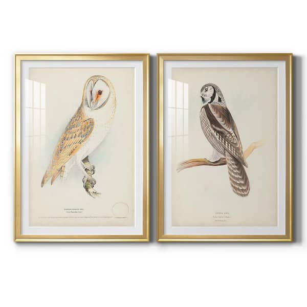 Wexford Home Hawk Owl By Wexford Homes 2-Pieces Framed Abstract Paper Art Print 30.5 in. x 42.5 in. .