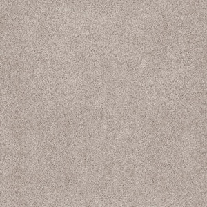 Sand Dunes I - Mercat Beige 53 oz. Nylon Texture Installed Carpet