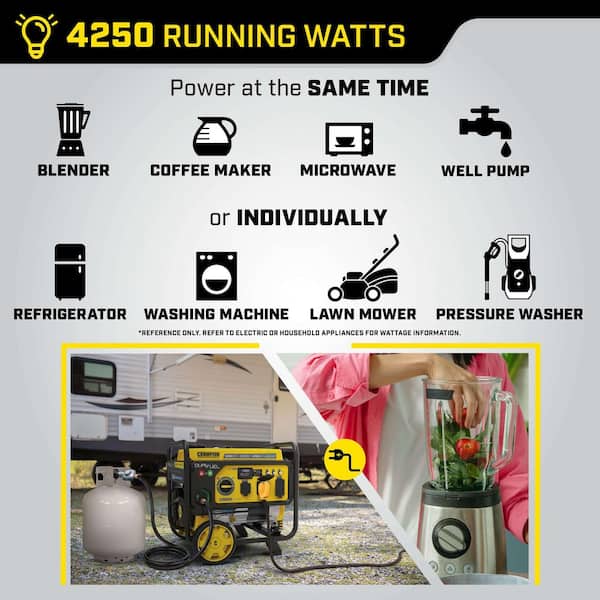 Champion Power Equipment 5300/4250-Watt Gasoline and Propane