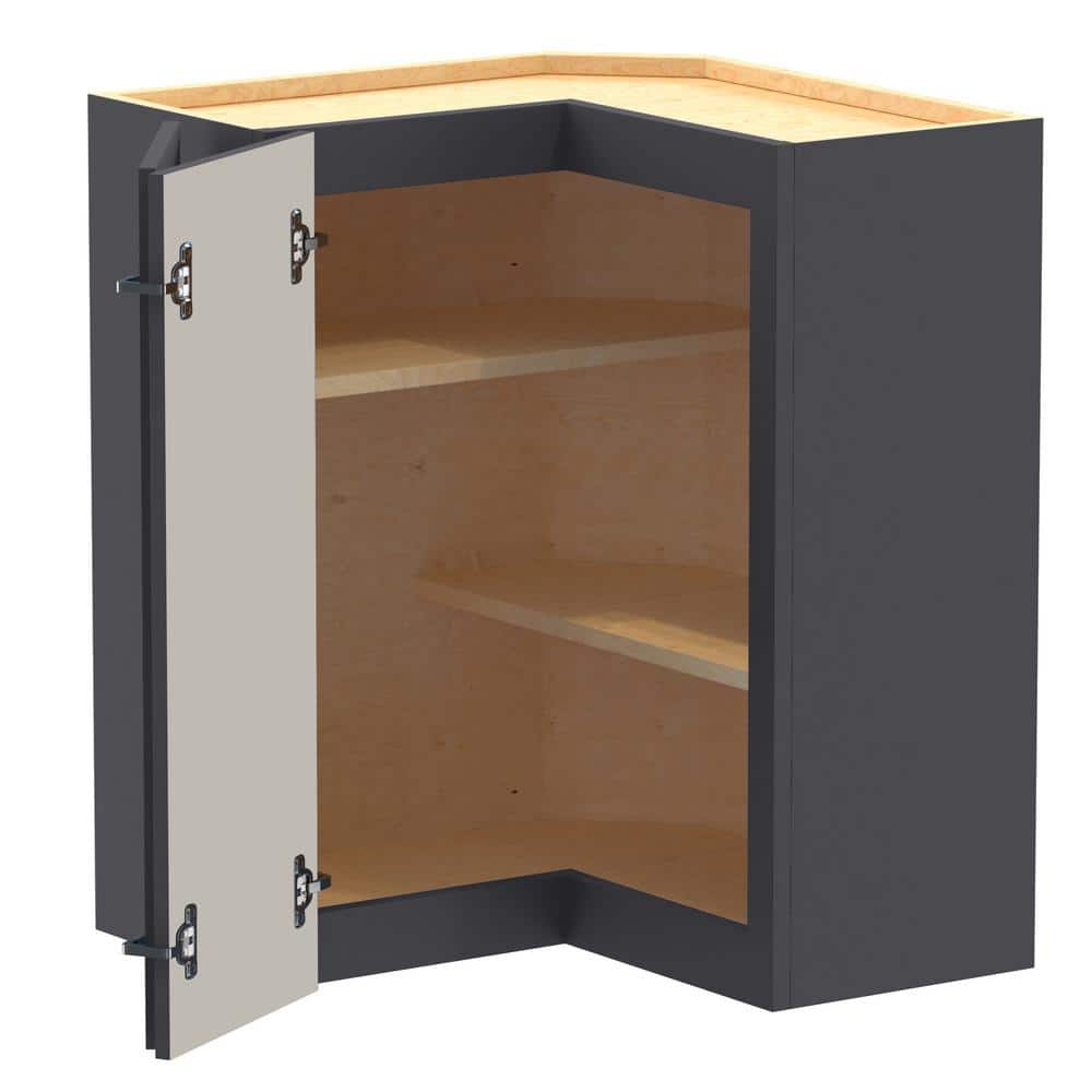 Washington 24 in. W x 24 in. D x 30 in. H Assembled Plywood Wall Kitchen Corner Cabinet in Valiant Onyx with Shelves price history on PriceWatchPro