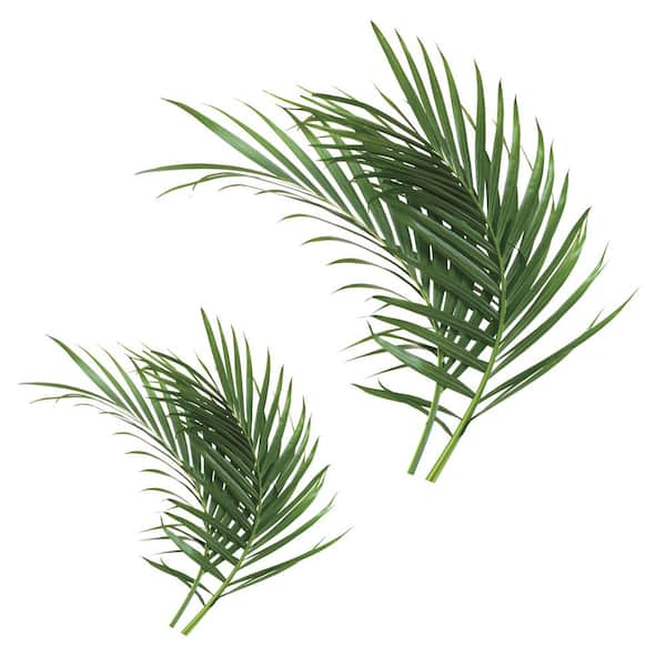 RoomMates Green Palm Leaf Giant Wall Decals