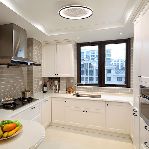 19 in. Indoor White Flush Mount Ceiling Fan with RGB48 Colorful LED Lights and 6-Speed Remote and APP Control