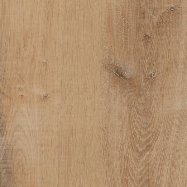 Lifeproof Elk Wood 8.7 in. W x 47.6 in. L Luxury Vinyl Plank Flooring  (20.06 sq. ft. / case) I96711LP