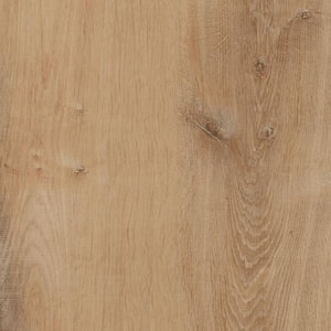 Fresh Oak 6 MIL x 8.7 in. W Waterproof Click Lock Luxury Vinyl Plank Flooring (20.06 sq. ft./case)