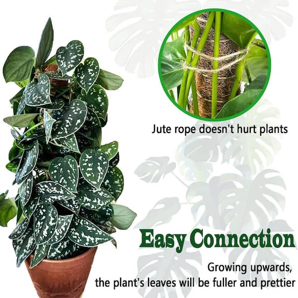Angel Sar 18 in. Stackable Moss Poles for Climbing Plants