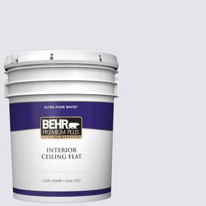 5 gal. #640A-1 Soft Iris Ceiling Flat Interior Paint