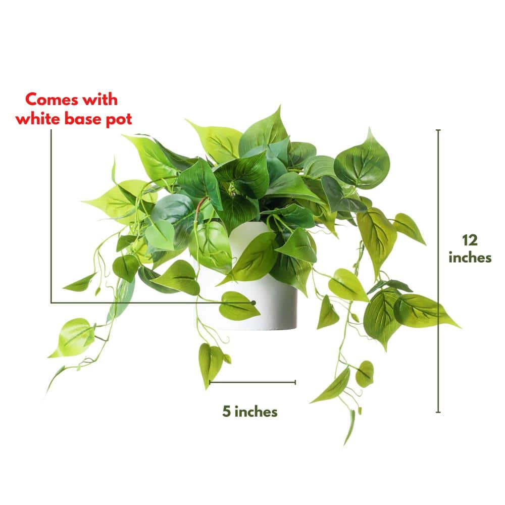 Elegant Potted White Pothos Ivy, 13in Plastic Outdoor Plant