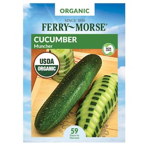 Organic Cucumber Muncher Fruit Seed