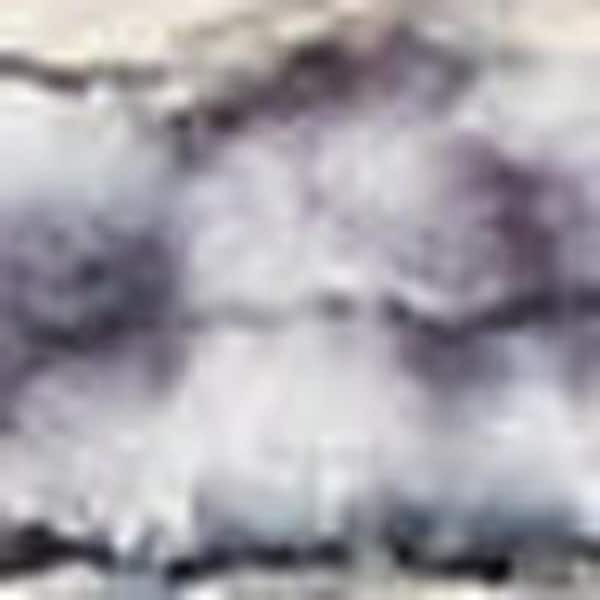 8' X 10' Gray Ivory and Blue Floral Distressed Washable Area Rug