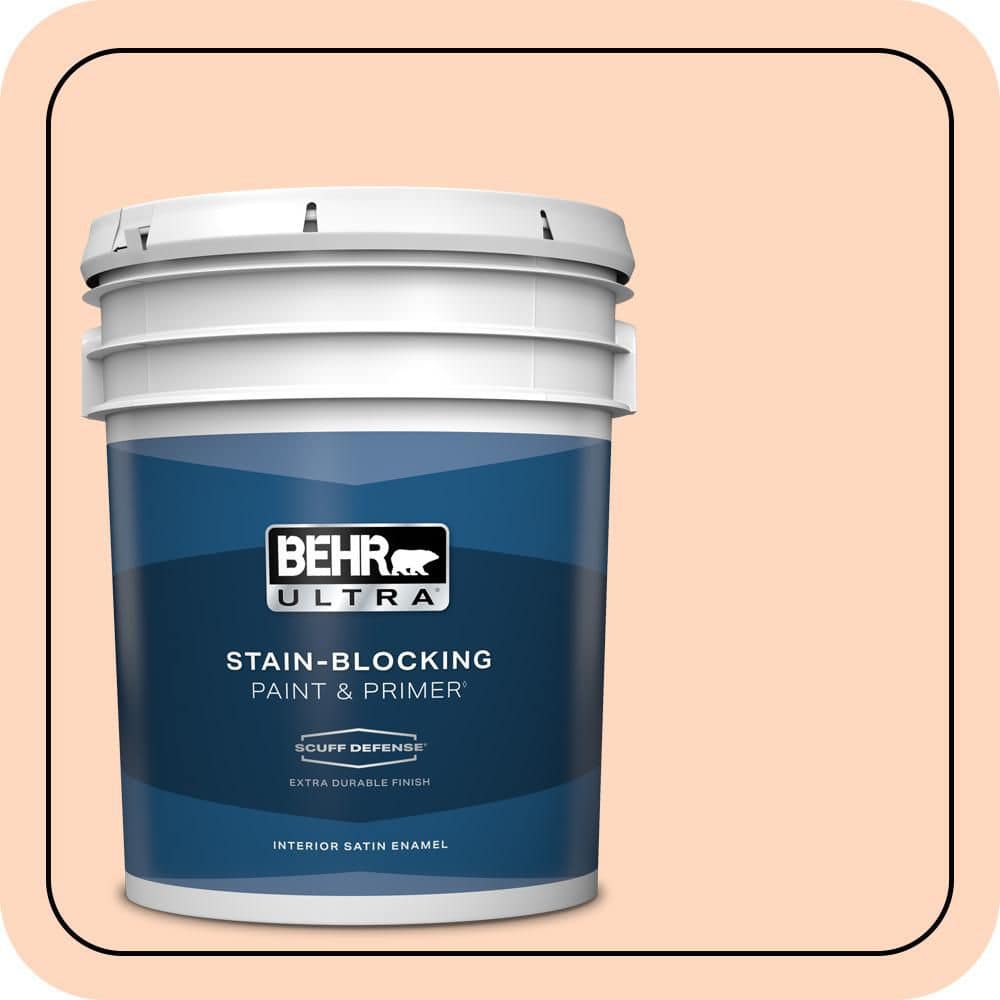 5 gal. #240A-2 Sunkissed Peach Extra Durable Satin Enamel Interior Paint & Primer price history on PriceWatchPro