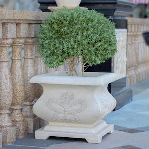 21 in. sq. Light Aged White Cast Stone Fiberglass Bombe Planter