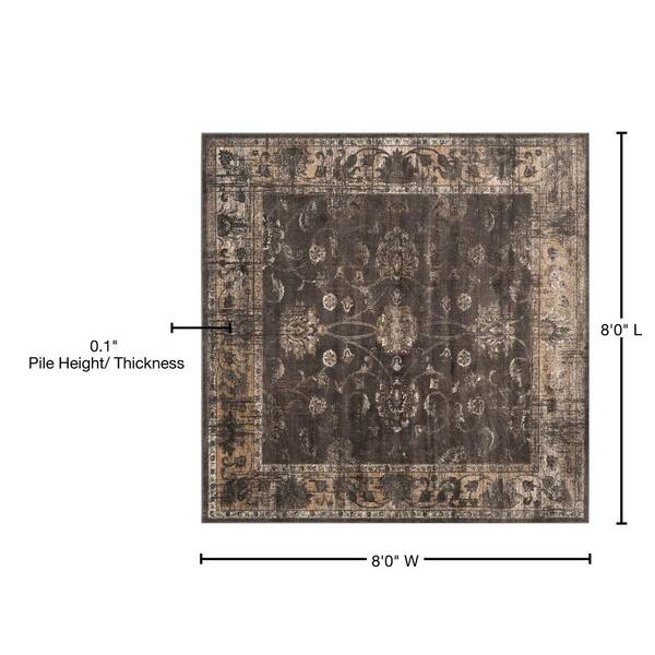 SAFAVIEH Vintage Soft Anthracite 8 ft. x 8 ft. Square Border