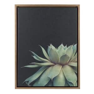 Sylvie "Succulent 8" by F2Images Framed Canvas Wall Art