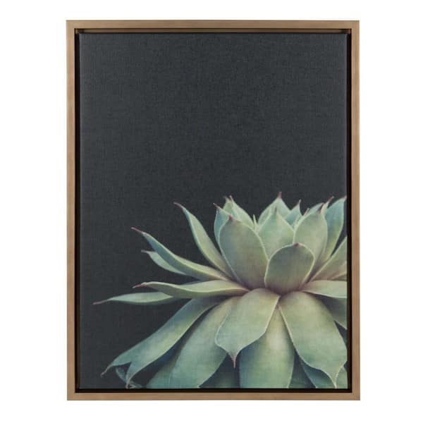 Kate and Laurel Sylvie "Succulent 8" by F2Images Framed Canvas Wall Art