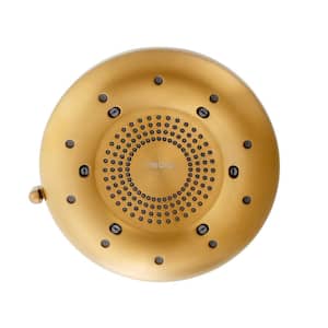 Nebia Corre 4-Spray Patterns with 1.5 GPM 6.5 in. Wall Mount Soft Fixed Shower Head in Brushed Gold