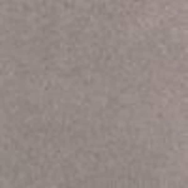 TrafficMaster Carpet Sample - Perry - Color Appaloosa Pattern 8 in. x 8 in.