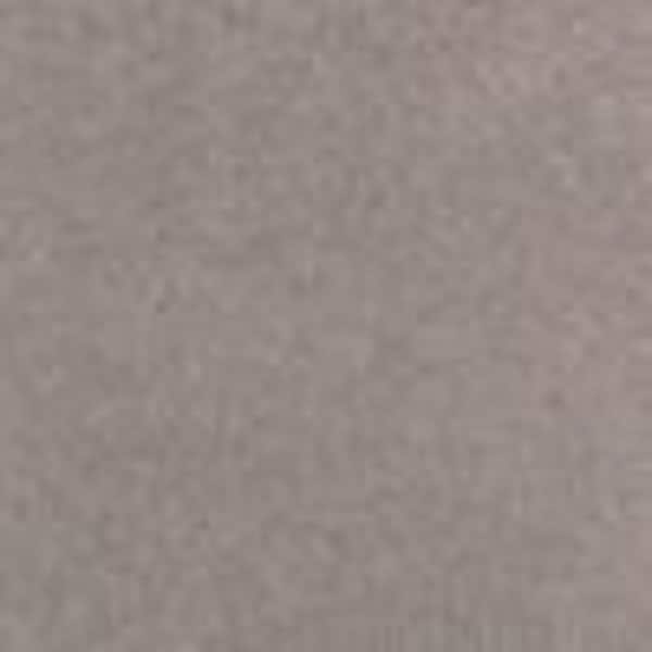 Lifeproof 8 in. x 8 in. Texture Carpet Sample - Phenomenal I -Color Orion