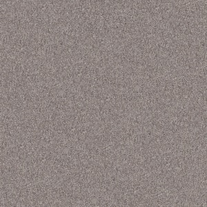 Cherry On Top I Shoreline Beige 15 ft. Wide 42 oz. Solution Dyed Polyester Texture Installed Carpet