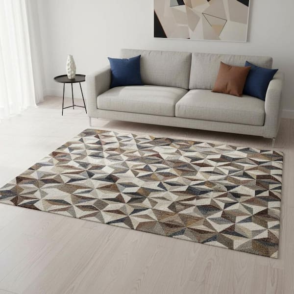 Brown 5 ft. x 8 ft. Woven Geometric Rectangle Indoor Area Rug