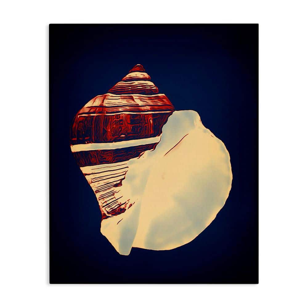 Fiber Conch on Blue by Graffi tee Studios Unframed Coastal Graphic Art Print 30 in. x 24 in. price history on PriceWatchPro
