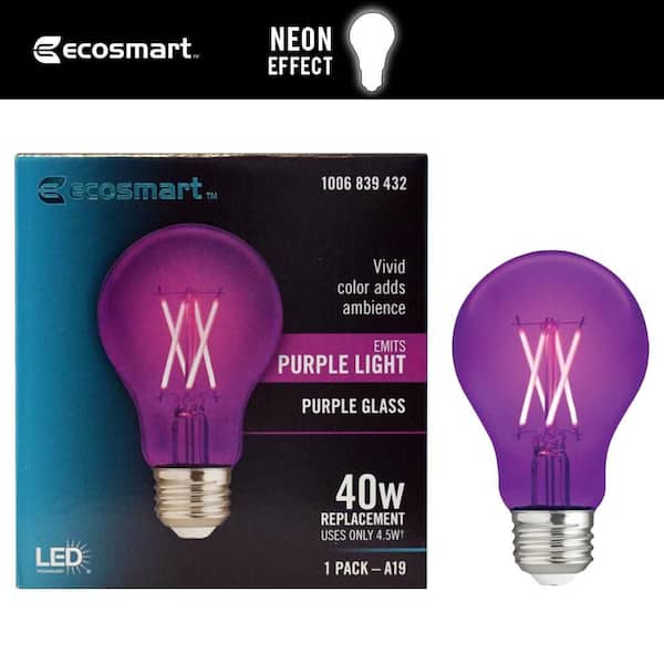 40-Watt Equivalent A19 Dimmable Filament Purple Colored Glass LED Light Bulb (1-Pack)