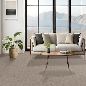 Painted Picture - Gallery-Brown 12 ft. 45 oz. Triexta PET Pattern Installed Carpet