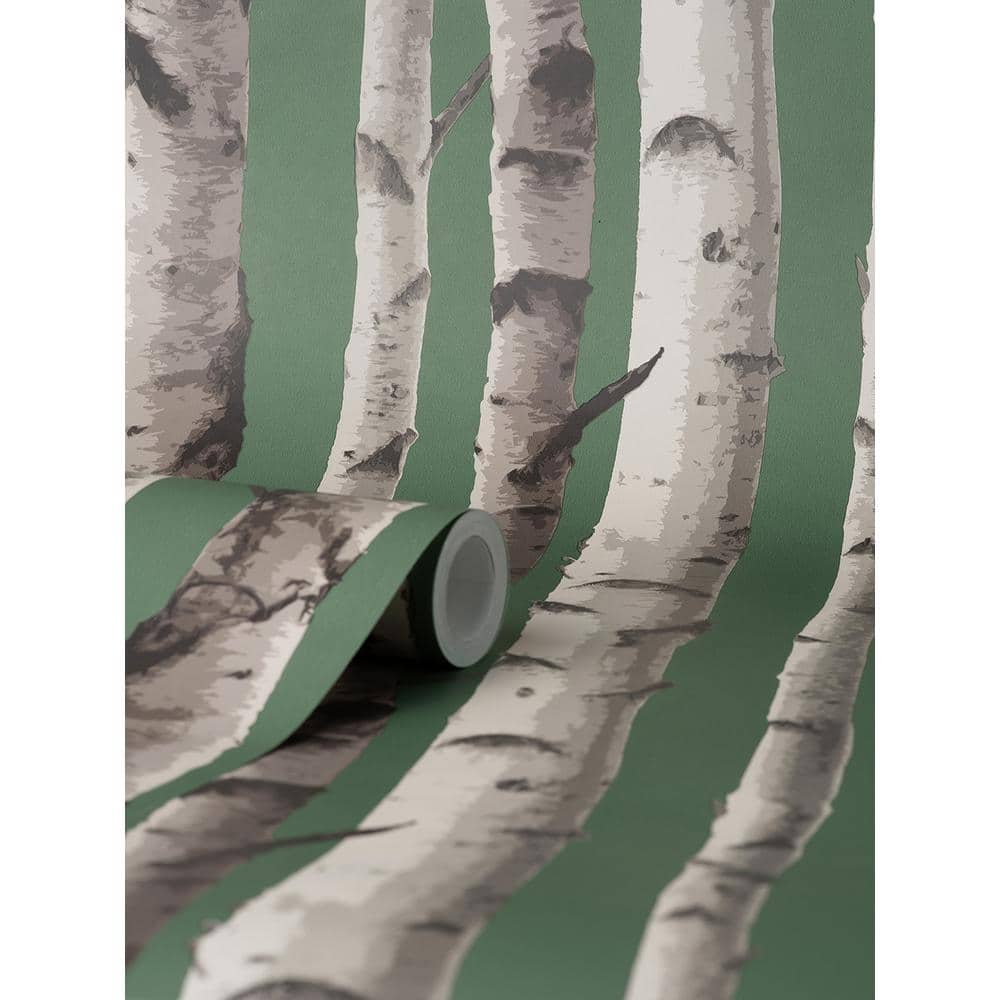 Hunter Green and White Birch Trees Non-pasted Wallpaper Roll