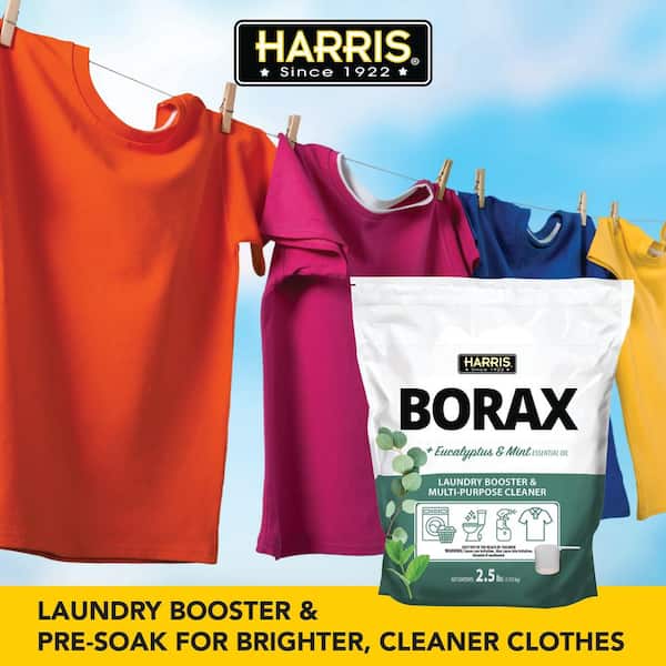 Bórax: la solución milagrosa para limpiar tu hogar - Nature's Discount