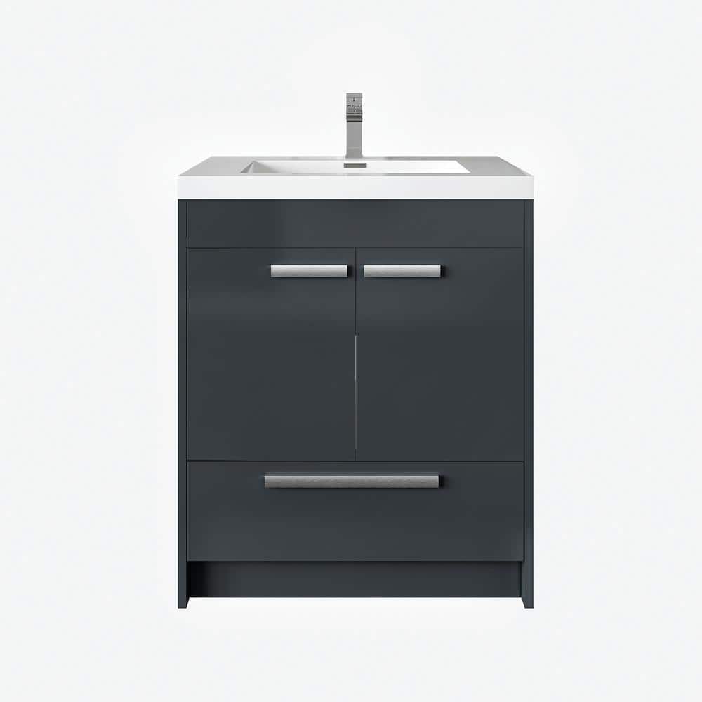 Lugano 24 in. Single Sink Gray Bath Vanity with White Acrylic Top (Assembled) price history on PriceWatchPro