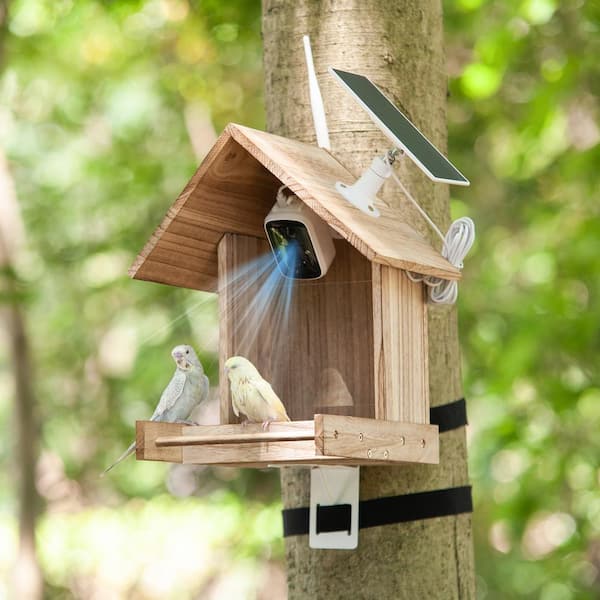 cenadinz Smart Bird Feeder with Solar Powered Camera Bird-Watching
