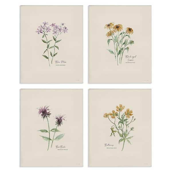 Stupell Industries Simple Wildflower Studies by Cindy Jacobs 4-Pieces Unframed Nature Graphic Art Print 14 in. x 11 in.