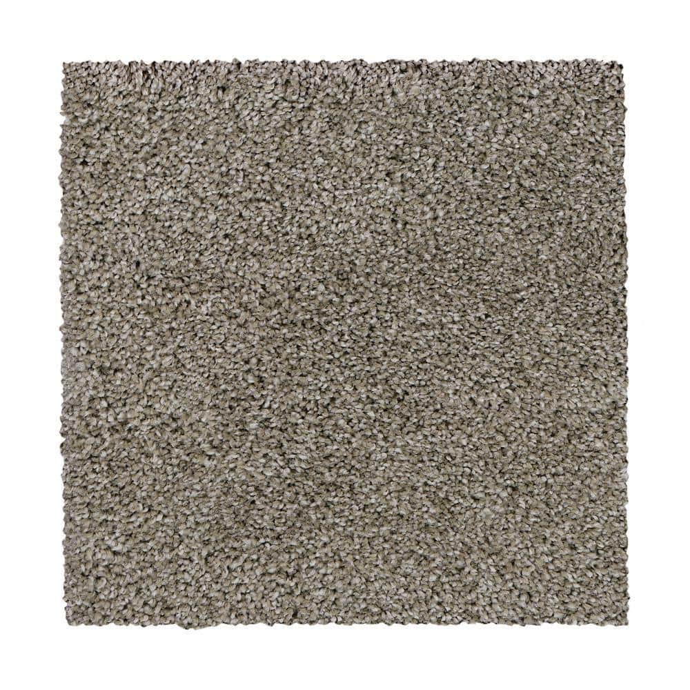 8 in. x 8 in. Texture Carpet Sample - Gazelle II -Color Foundation price history on PriceWatchPro