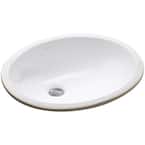 Caxton 16-1/4 in. Oval Vitreous China Undermount Bathroom Sink in White with Overflow Drain