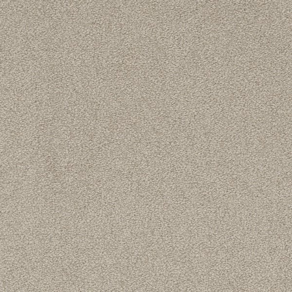 Home Decorators Collection Perfected I  - Superb - Beige 40 oz. SD Polyester Texture Installed Carpet