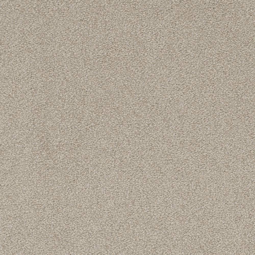 Home Decorators Collection 8 in. x 8 in. Texture Carpet Sample ...